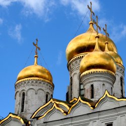 Мұқаба Алексей Кочетков - Выздоровления места