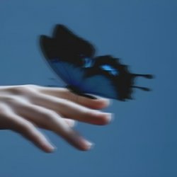 Мұқаба Butterflies in the Stomach