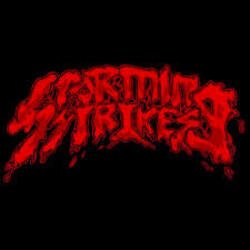 Мұқаба Storming Strikes - K.i.a.b
