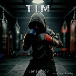 Pochette Tim