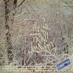 Мұқаба TerrorX - Leise Rieselt Der Schnee