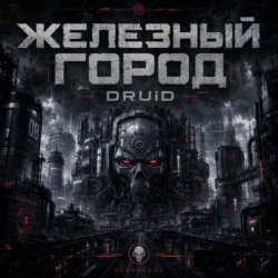 Мұқаба DRUiD - Железный город
