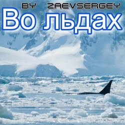 Мұқаба zaevsergey - Во льдах