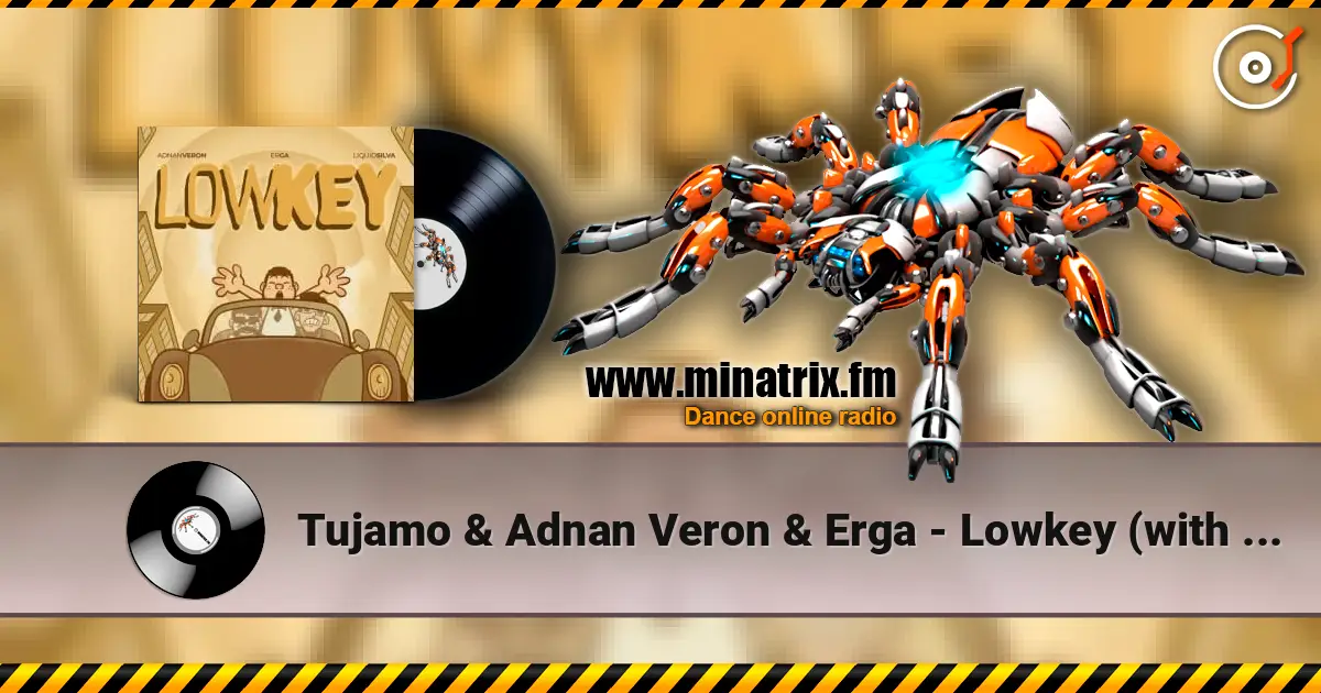 Tujamo & Adnan Veron & Erga - Lowkey (with Liquid Silva) жоғары сапада онлайн тыңдау | Minatrix.FM