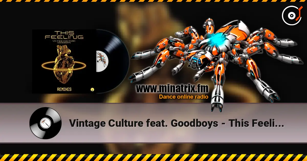Vintage Culture feat. Goodboys - This Feeling (Velvet Mode And Chris Arna Remix) жоғары сапада онлайн тыңдау | Minatrix.FM