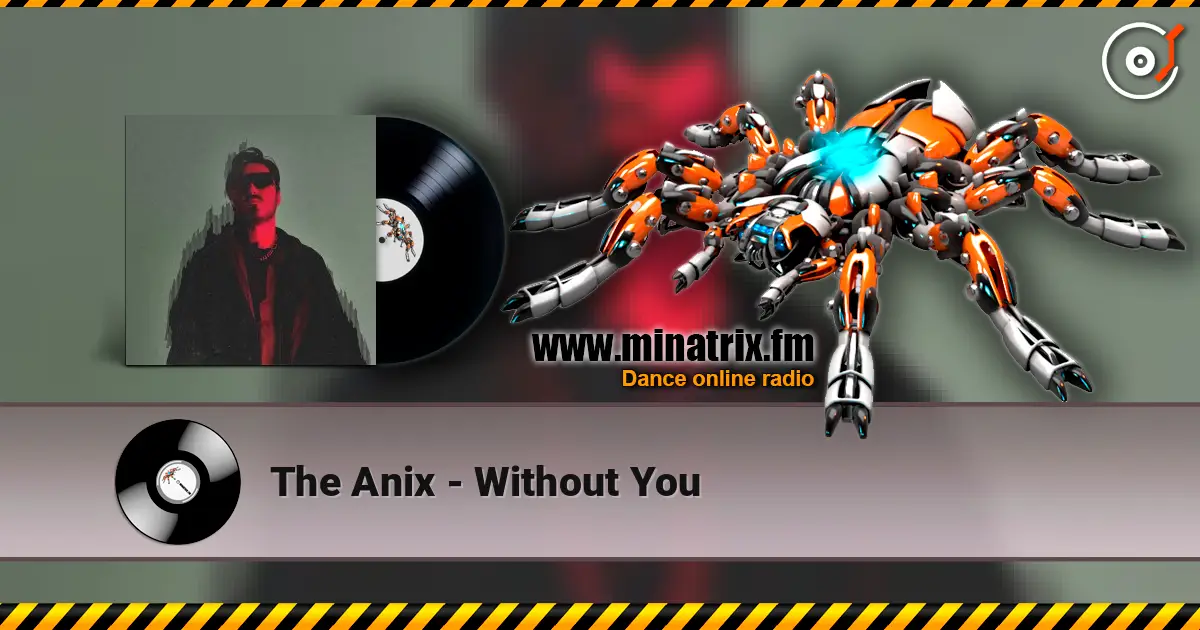 The Anix - Without You жоғары сапада онлайн тыңдау | Minatrix.FM