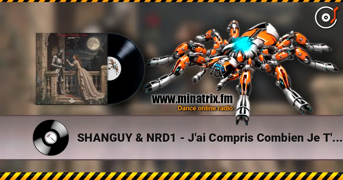SHANGUY & NRD1 - J'ai Compris Combien Je T'aime жоғары сапада онлайн тыңдау | Minatrix.FM