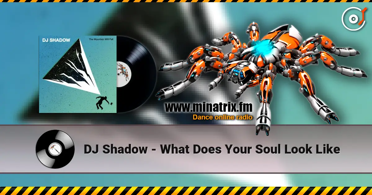 DJ Shadow - What Does Your Soul Look Like жоғары сапада онлайн тыңдау | Minatrix.FM