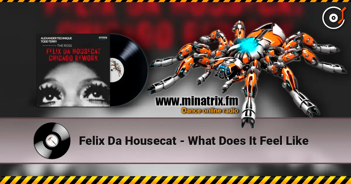 Felix Da Housecat - What Does It Feel Like жоғары сапада онлайн тыңдау | Minatrix.FM