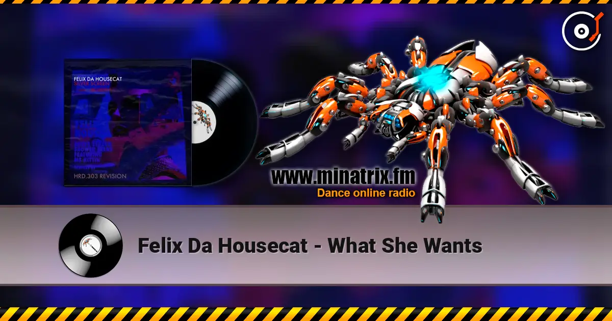 Felix Da Housecat - What She Wants жоғары сапада онлайн тыңдау | Minatrix.FM