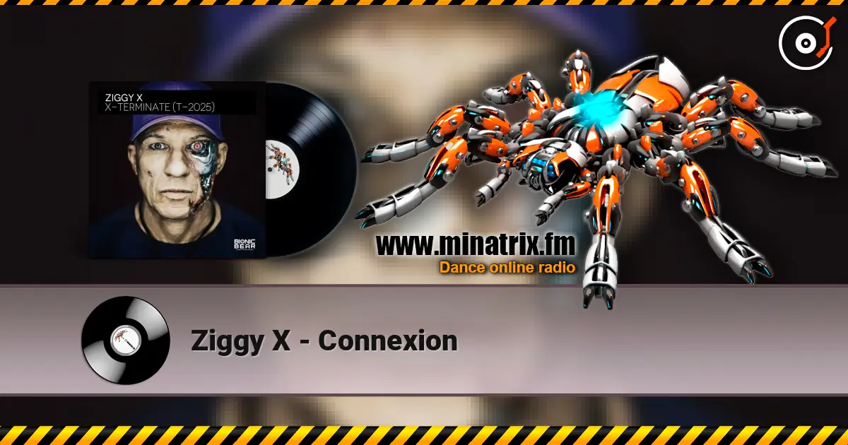 Ziggy X - Connexion жоғары сапада онлайн тыңдау | Minatrix.FM