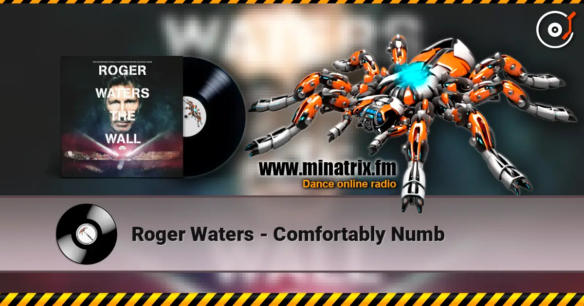 Roger Waters - Comfortably Numb жоғары сапада онлайн тыңдау | Minatrix.FM