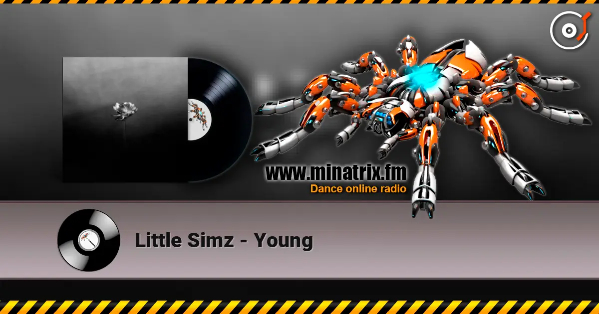 Little Simz - Young жоғары сапада онлайн тыңдау | Minatrix.FM