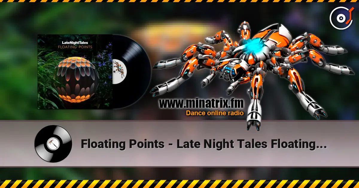 Floating Points - Late Night Tales Floating Points - Continuous Mix жоғары сапада онлайн тыңдау | Minatrix.FM