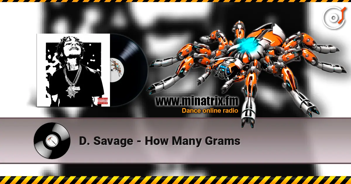 D. Savage - How Many Grams жоғары сапада онлайн тыңдау | Minatrix.FM