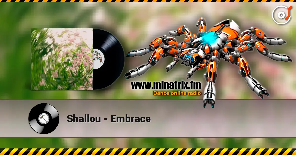 Shallou - Embrace жоғары сапада онлайн тыңдау | Minatrix.FM
