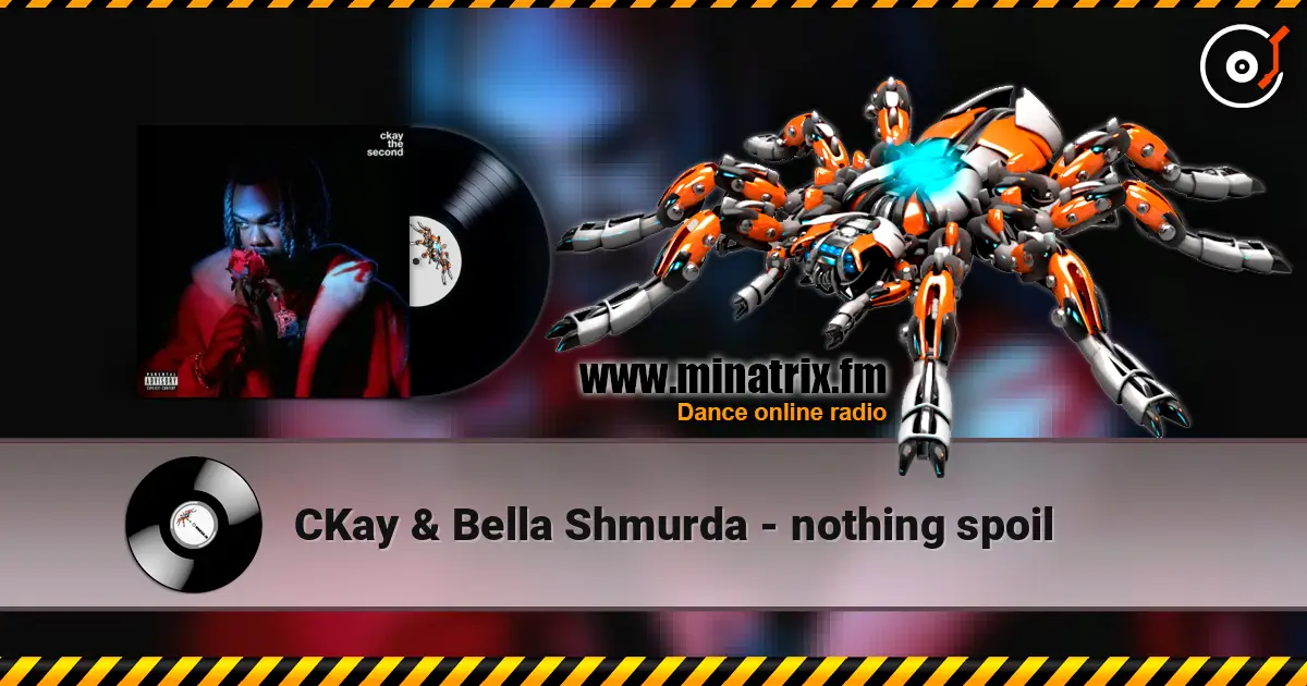 CKay & Bella Shmurda - nothing spoil жоғары сапада онлайн тыңдау | Minatrix.FM