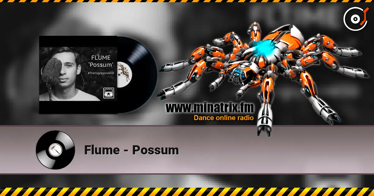 Flume - Possum жоғары сапада онлайн тыңдау | Minatrix.FM