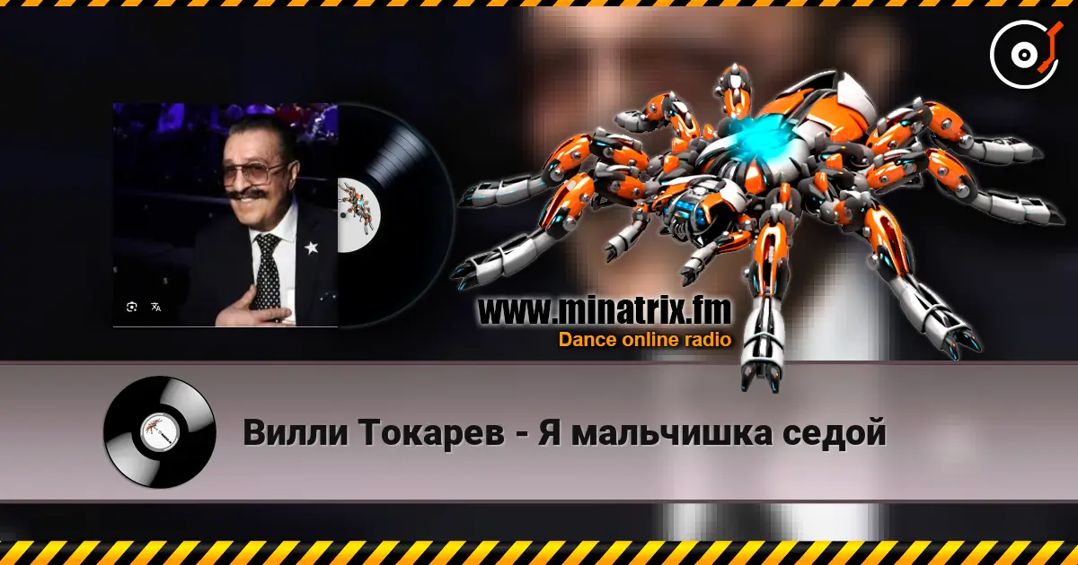 Вилли Токарев - Я мальчишка седой жоғары сапада онлайн тыңдау | Minatrix.FM
