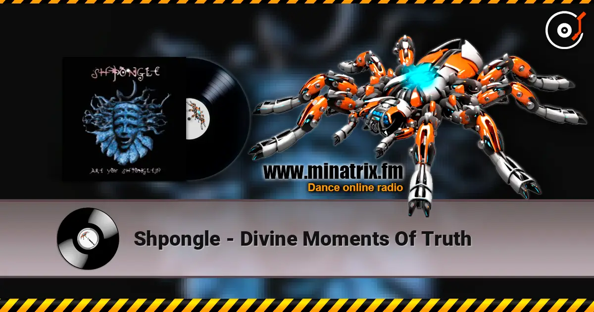 Shpongle - Divine Moments Of Truth жоғары сапада онлайн тыңдау | Minatrix.FM