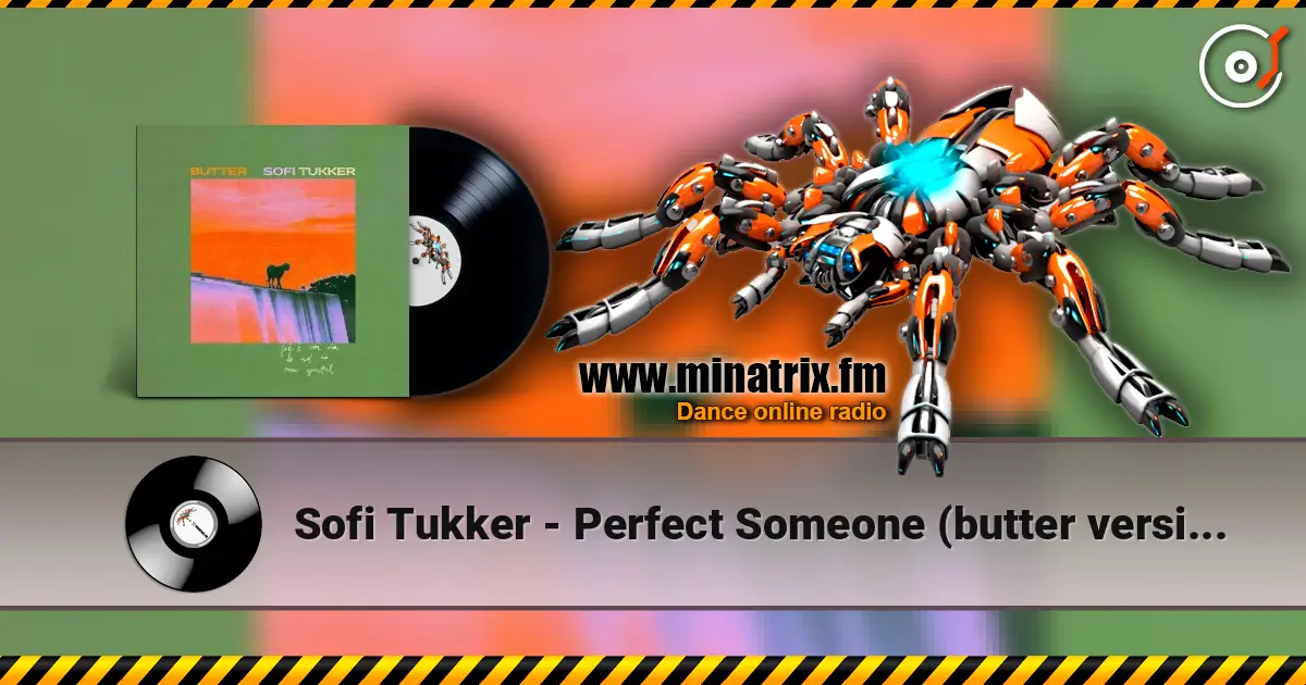 Sofi Tukker - Perfect Someone (butter version) жоғары сапада онлайн тыңдау | Minatrix.FM