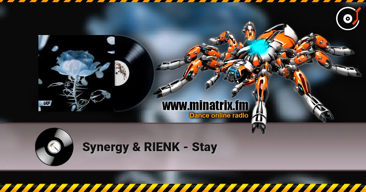 Synergy & RIENK - Stay жоғары сапада онлайн тыңдау | Minatrix.FM