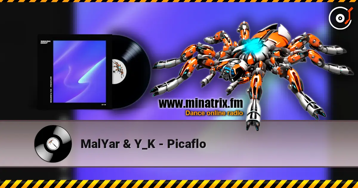 MalYar & Y_K - Picaflo жоғары сапада онлайн тыңдау | Minatrix.FM