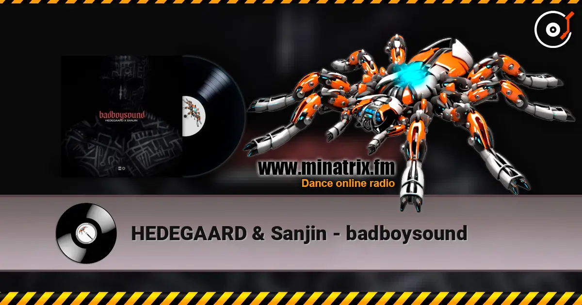 HEDEGAARD & Sanjin - badboysound жоғары сапада онлайн тыңдау | Minatrix.FM