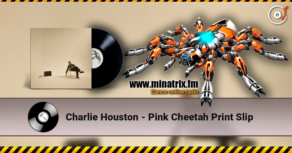 Charlie Houston - Pink Cheetah Print Slip жоғары сапада онлайн тыңдау | Minatrix.FM