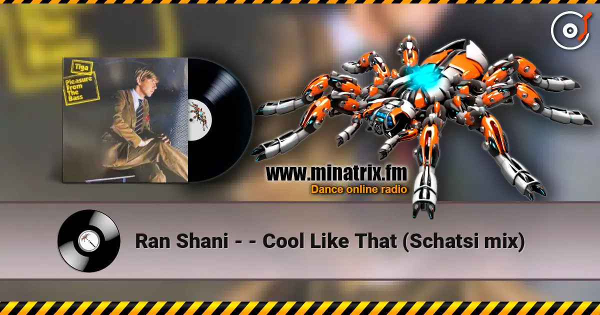 Ran Shani - - Cool Like That (Schatsi mix) жоғары сапада онлайн тыңдау | Minatrix.FM