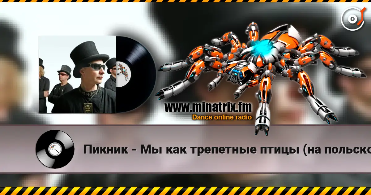 Пикник - Мы как трепетные птицы (на польском языке) жоғары сапада онлайн тыңдау | Minatrix.FM