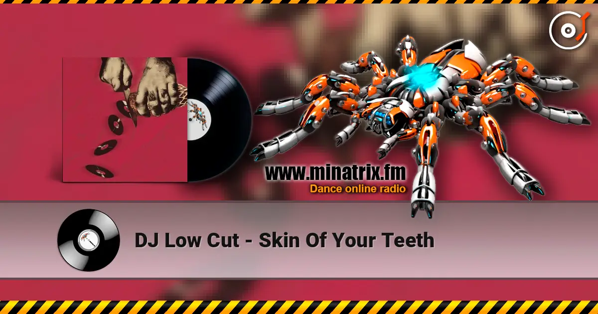 DJ Low Cut - Skin Of Your Teeth жоғары сапада онлайн тыңдау | Minatrix.FM