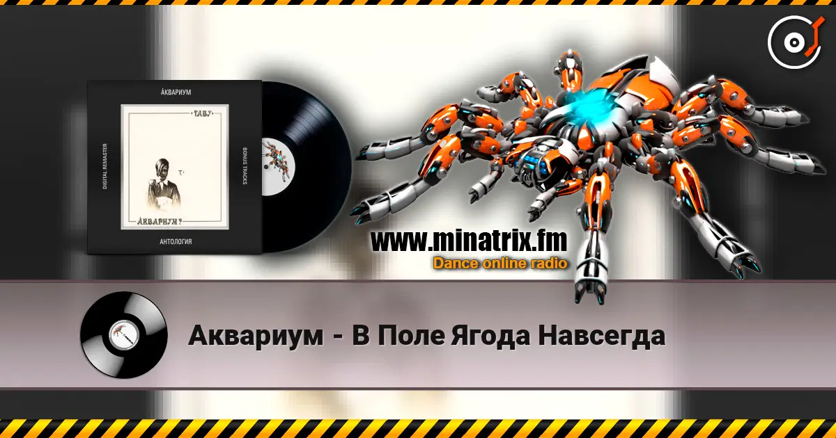 Аквариум - В Поле Ягода Навсегда жоғары сапада онлайн тыңдау | Minatrix.FM