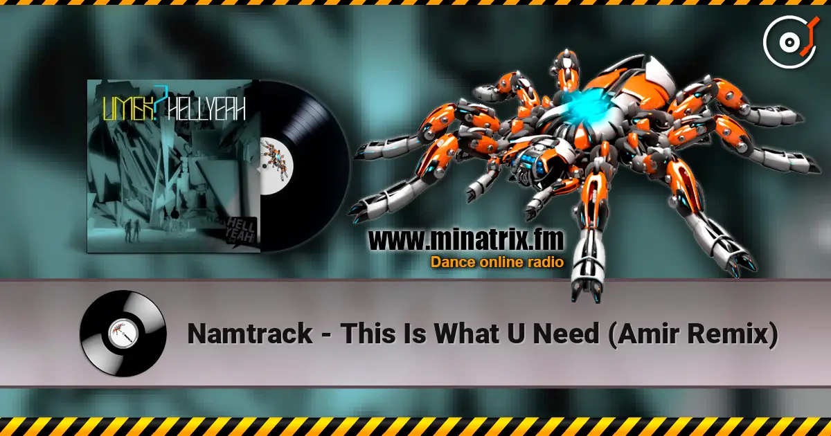 Namtrack - This Is What U Need (Amir Remix) жоғары сапада онлайн тыңдау | Minatrix.FM