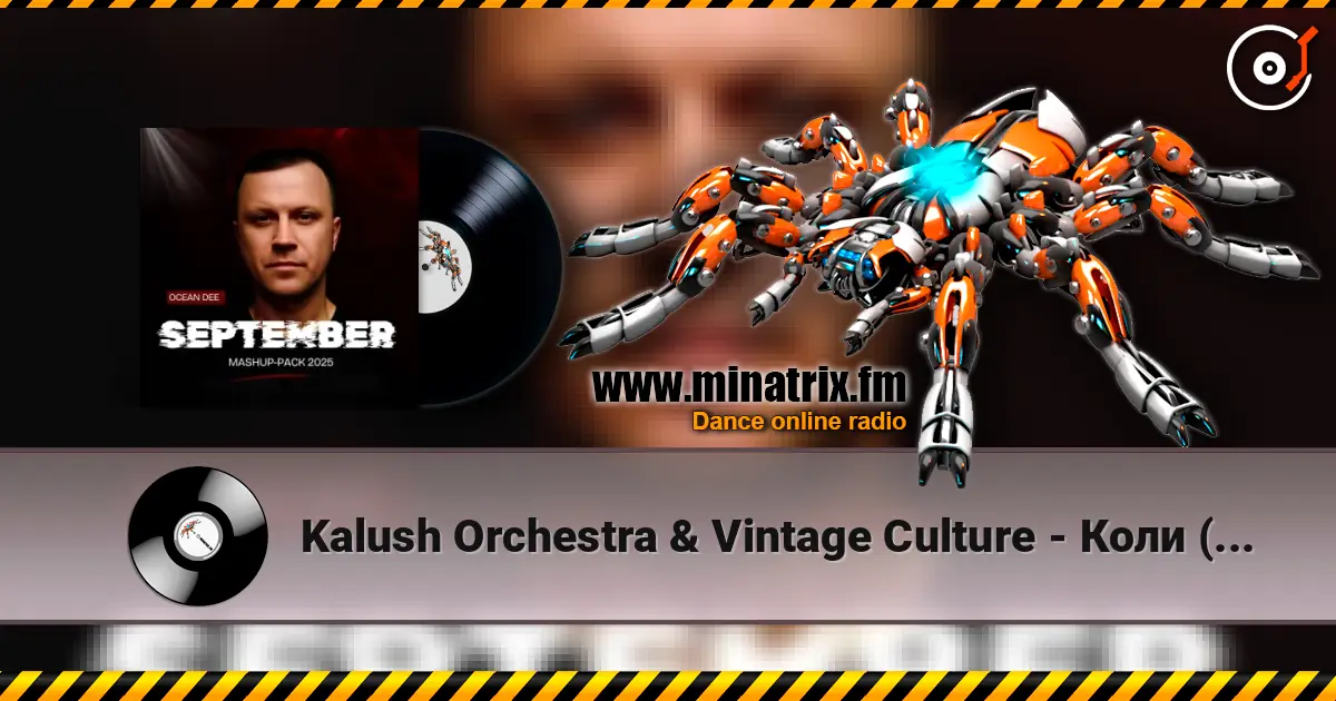 Kalush Orchestra & Vintage Culture - Коли (Ocean Dee Edit) жоғары сапада онлайн тыңдау | Minatrix.FM