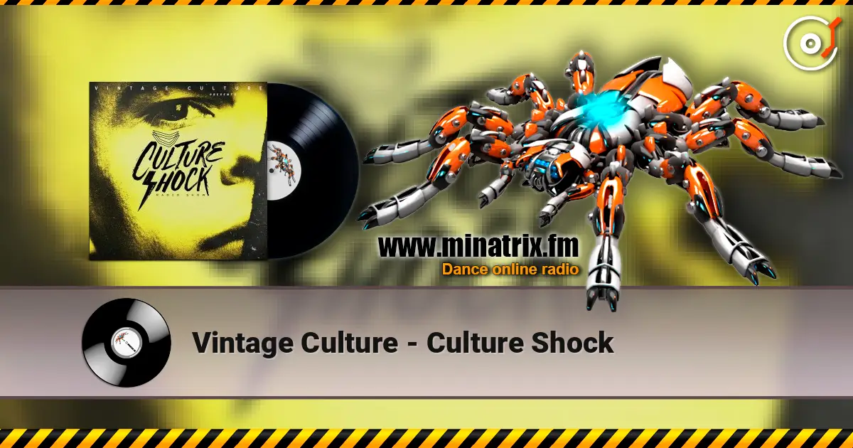 Vintage Culture - Culture Shock жоғары сапада онлайн тыңдау | Minatrix.FM