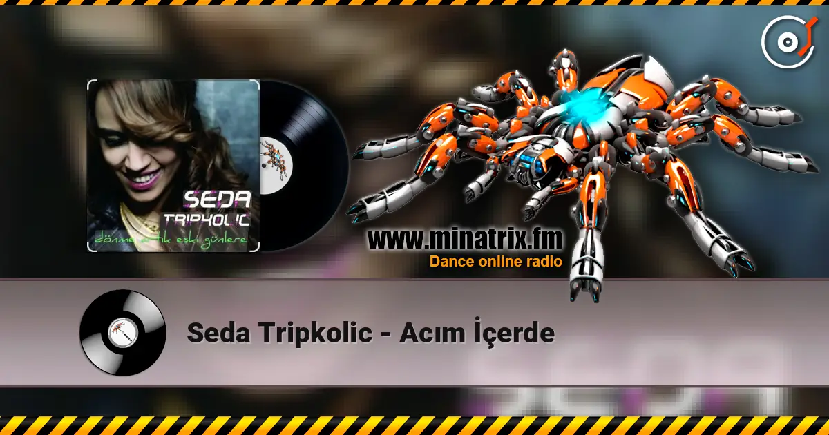 Seda Tripkolic - Acım İçerde жоғары сапада онлайн тыңдау | Minatrix.FM