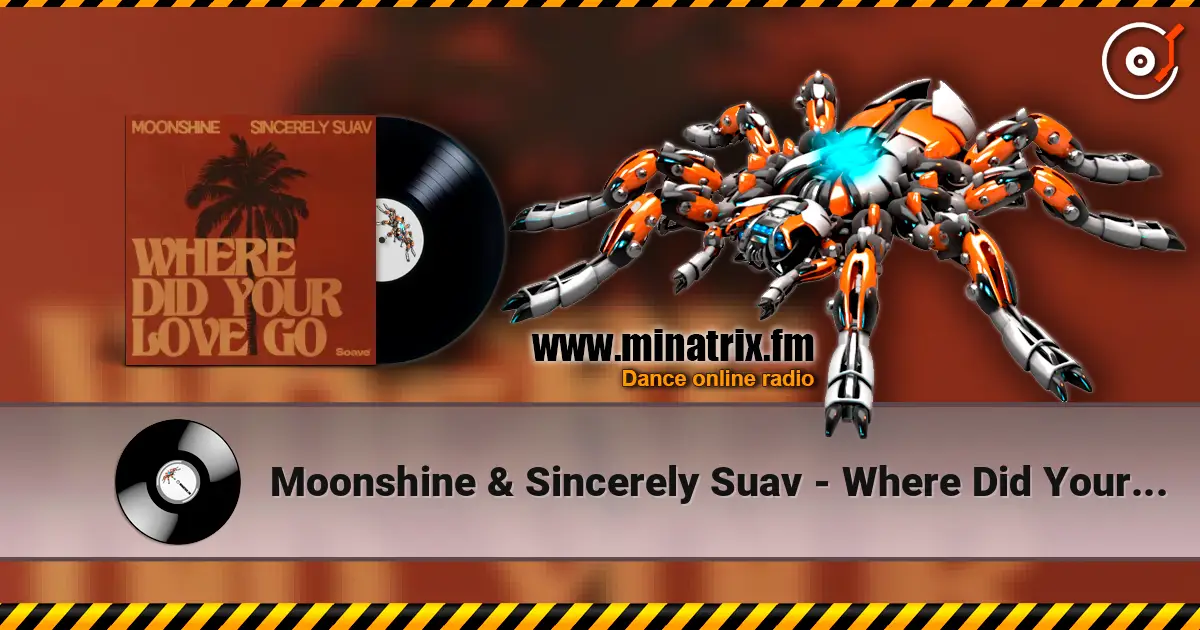 Moonshine & Sincerely Suav - Where Did Your Love Go жоғары сапада онлайн тыңдау | Minatrix.FM