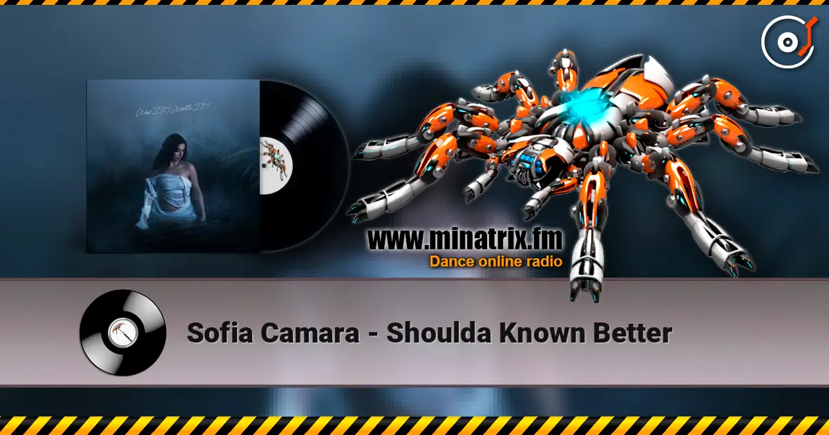 Sofia Camara - Shoulda Known Better жоғары сапада онлайн тыңдау | Minatrix.FM