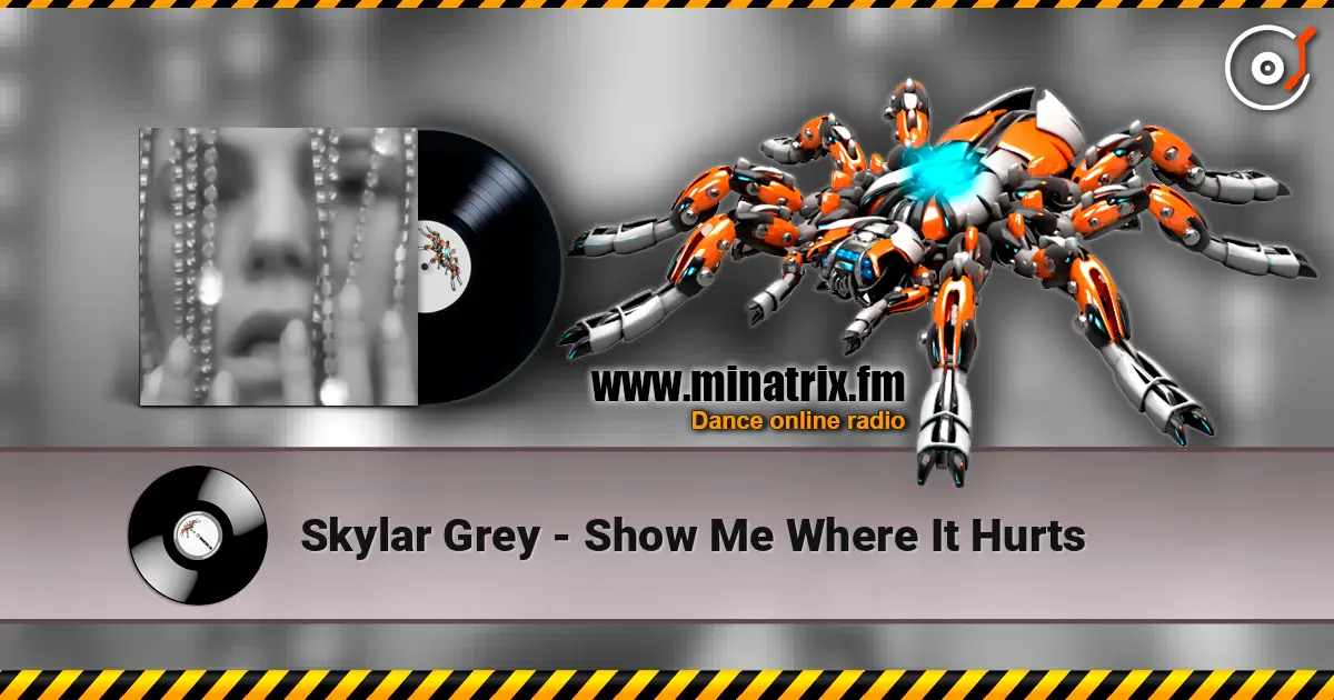 Skylar Grey - Show Me Where It Hurts жоғары сапада онлайн тыңдау | Minatrix.FM