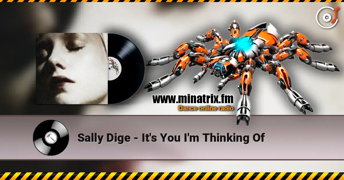 Sally Dige - It's You I'm Thinking Of жоғары сапада онлайн тыңдау | Minatrix.FM