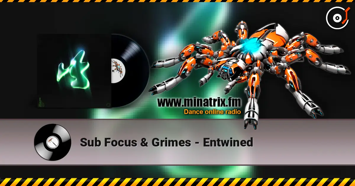 Sub Focus & Grimes - Entwined жоғары сапада онлайн тыңдау | Minatrix.FM