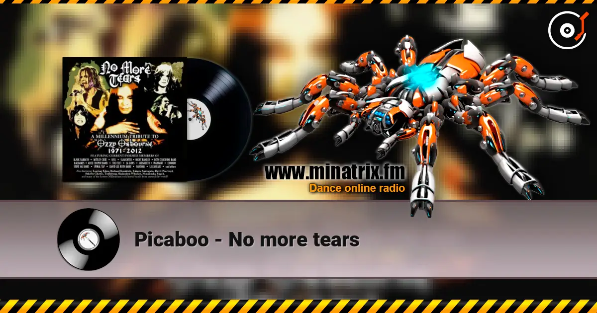 Picaboo - No more tears жоғары сапада онлайн тыңдау | Minatrix.FM