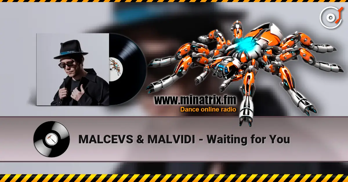 MALCEVS & MALVIDI - Waiting for You жоғары сапада онлайн тыңдау | Minatrix.FM