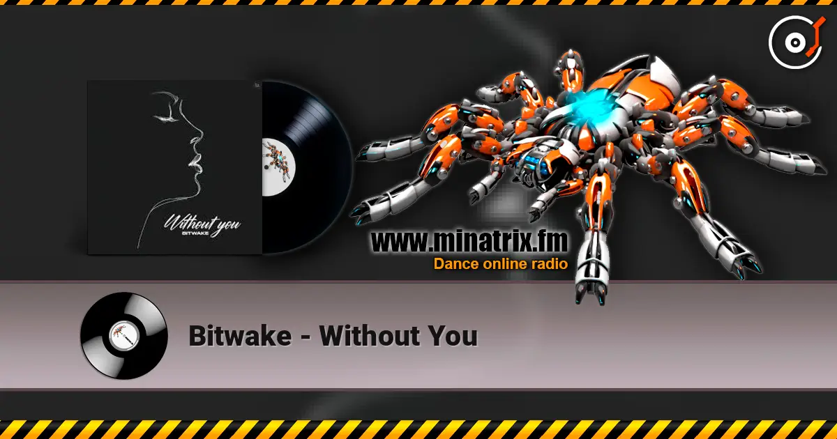Bitwake - Without You жоғары сапада онлайн тыңдау | Minatrix.FM