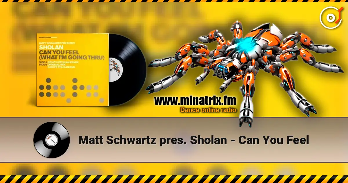 Matt Schwartz pres. Sholan - Can You Feel жоғары сапада онлайн тыңдау | Minatrix.FM