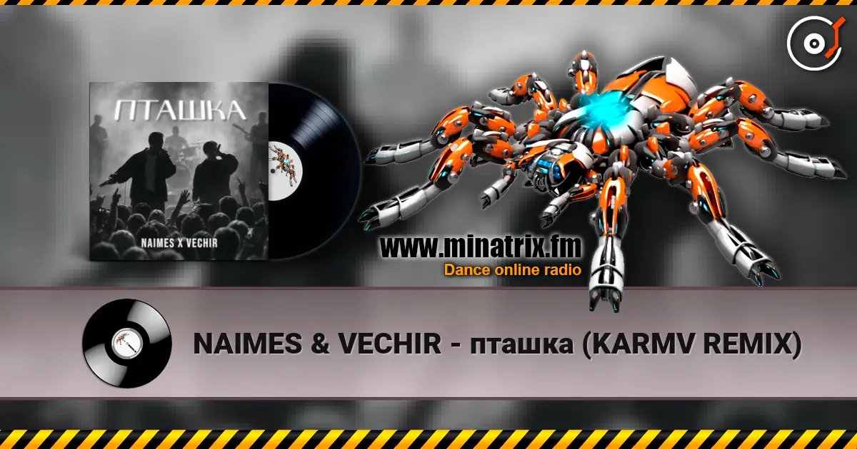 NAIMES & VECHIR - пташка (KARMV REMIX) жоғары сапада онлайн тыңдау | Minatrix.FM