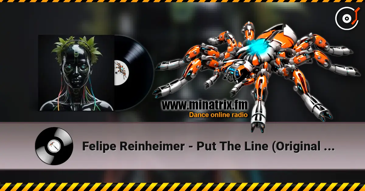 Felipe Reinheimer - Put The Line (Original Mix) жоғары сапада онлайн тыңдау | Minatrix.FM