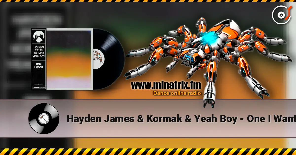 Hayden James & Kormak & Yeah Boy - One I Want жоғары сапада онлайн тыңдау | Minatrix.FM