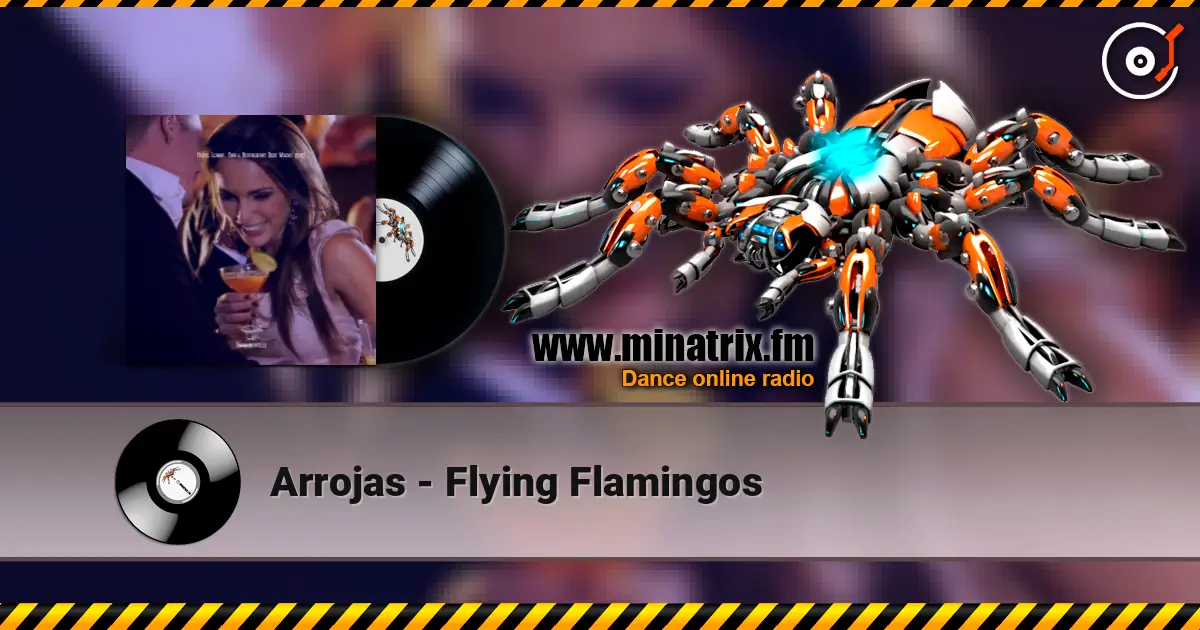 Arrojas - Flying Flamingos жоғары сапада онлайн тыңдау | Minatrix.FM